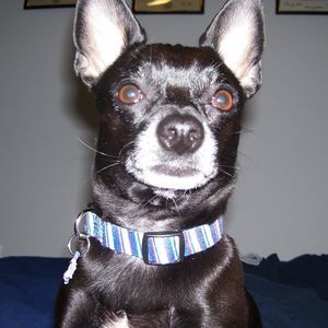 Meet your Posher, Coleen